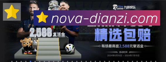 NLC电子荣誉